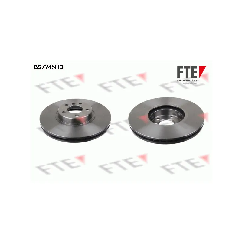Jeu de 2 disques de frein avant FTE BS7245HB