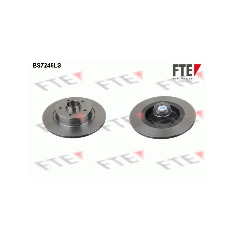 Jeu de 2 disques de frein arrière FTE BS7246LS