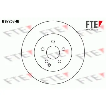 Jeu de 2 disques de frein avant FTE BS7253HB