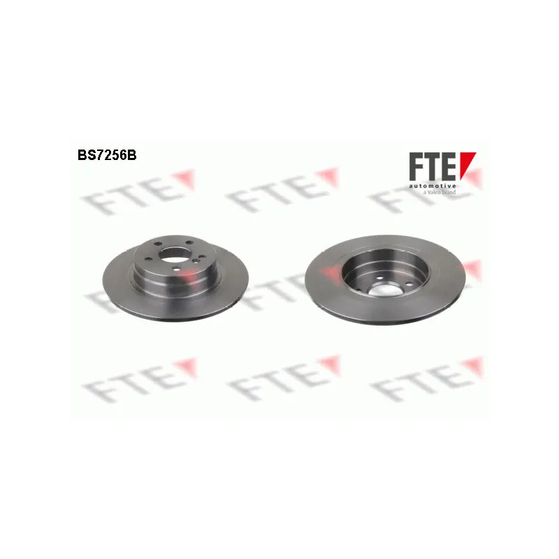 Jeu de 2 disques de frein arrière FTE BS7256B