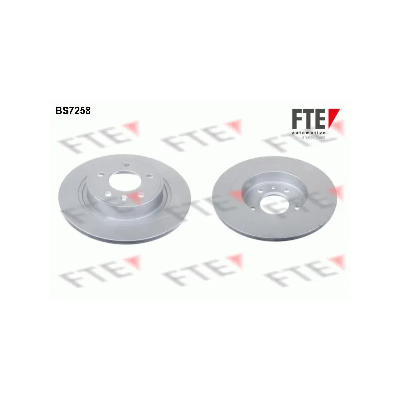 Jeu de 2 disques de frein arrière FTE BS7258