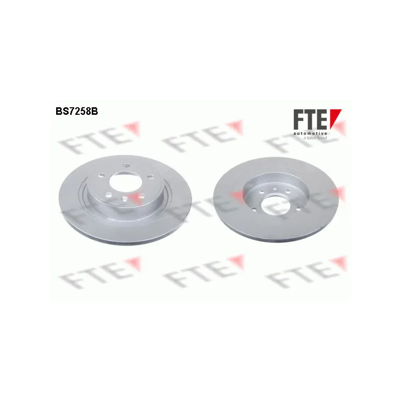 Jeu de 2 disques de frein arrière FTE BS7258B