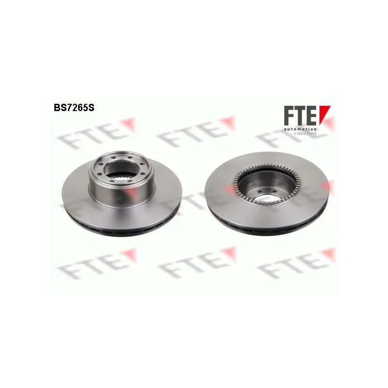Jeu de 2 disques de frein arrière FTE BS7265S