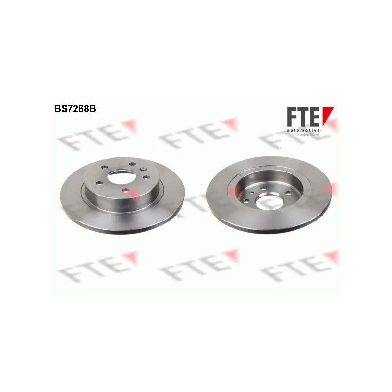Jeu de 2 disques de frein arrière FTE BS7268B