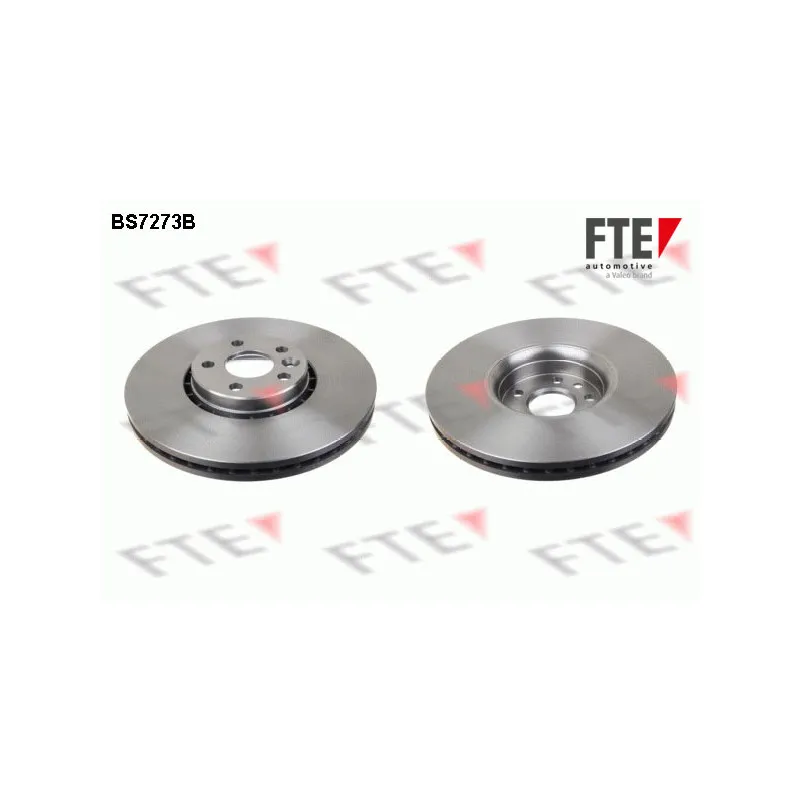 Jeu de 2 disques de frein avant FTE BS7273B