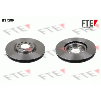 Jeu de 2 disques de frein avant FTE BS7289