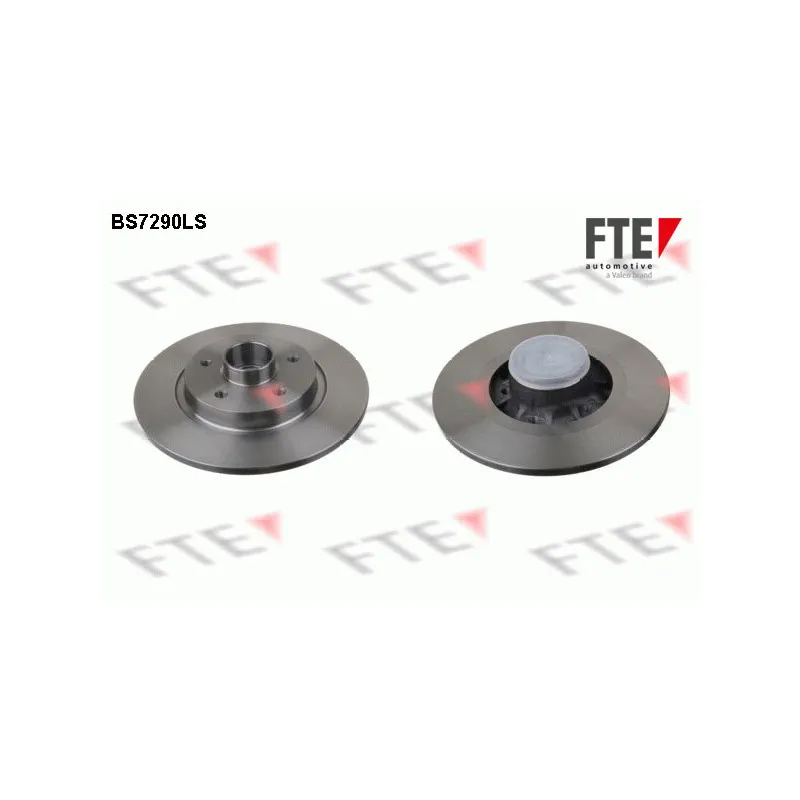 Jeu de 2 disques de frein arrière FTE BS7290LS