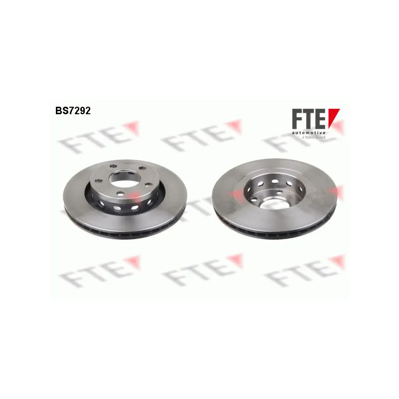 Jeu de 2 disques de frein arrière FTE BS7292