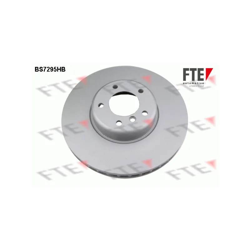 Jeu de 2 disques de frein avant FTE BS7295HB