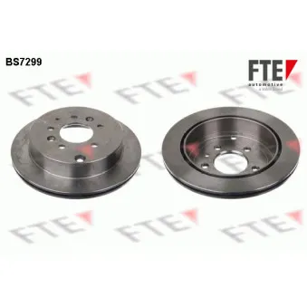 Jeu de 2 disques de frein arrière FTE BS7299