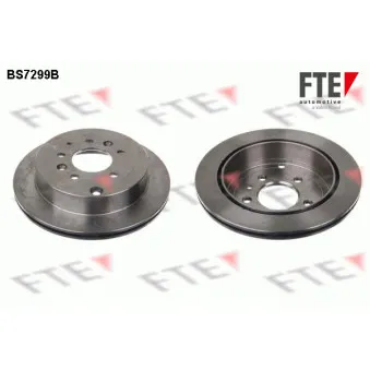 Jeu de 2 disques de frein arrière FTE BS7299B