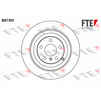 Jeu de 2 disques de frein arrière FTE BS7303