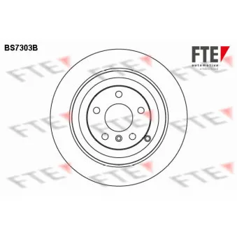 Jeu de 2 disques de frein arrière FTE BS7303B