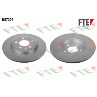 Jeu de 2 disques de frein arrière FTE BS7304