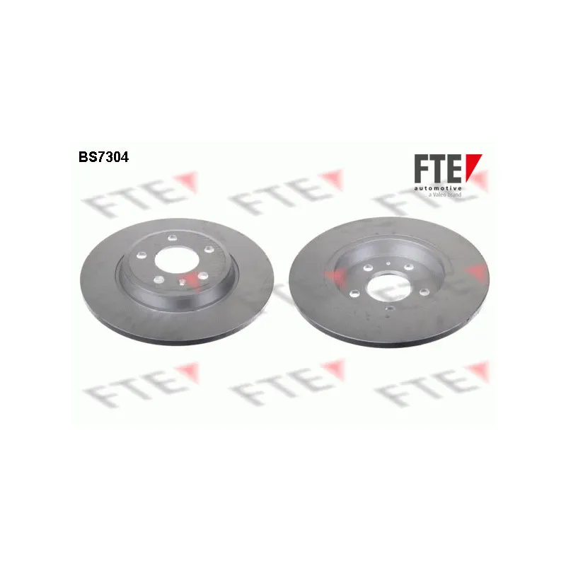 Jeu de 2 disques de frein arrière FTE BS7304