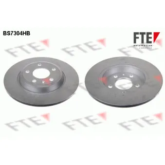 Jeu de 2 disques de frein arrière FTE BS7304HB