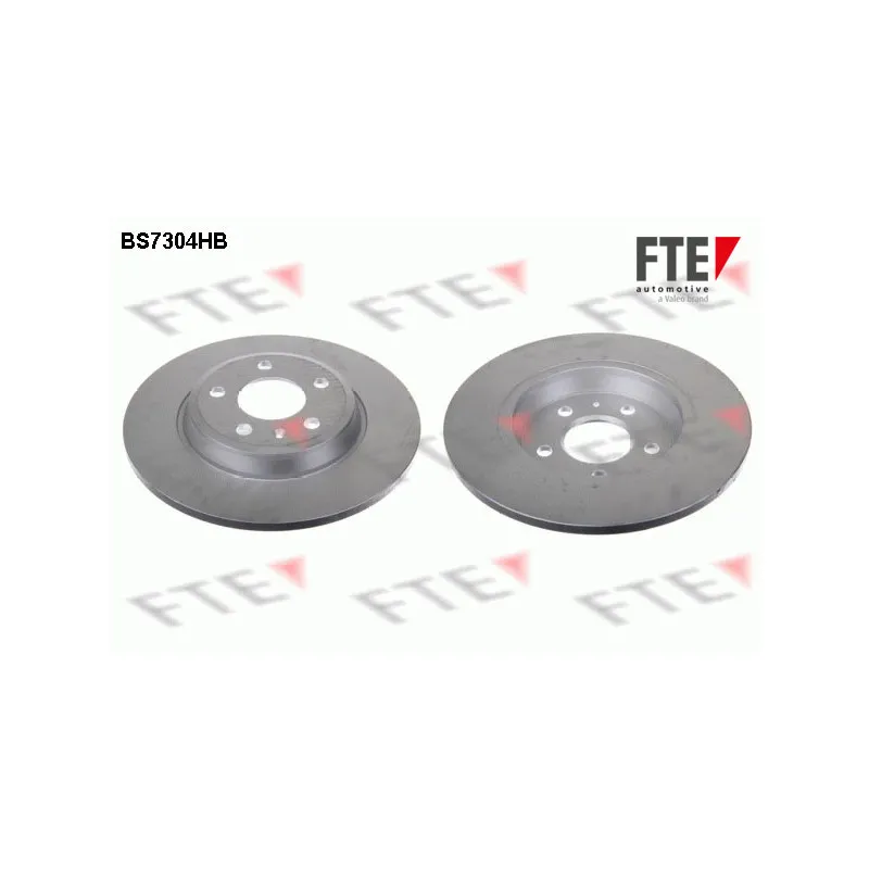 Jeu de 2 disques de frein arrière FTE BS7304HB