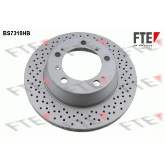 Jeu de 2 disques de frein arrière FTE BS7310HB