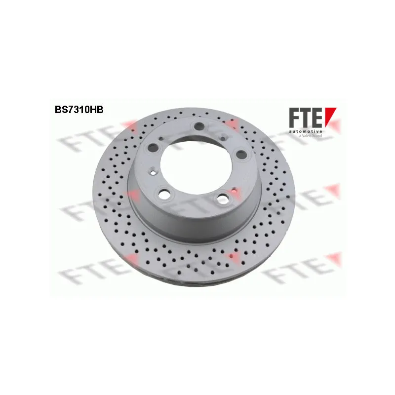 Jeu de 2 disques de frein arrière FTE BS7310HB