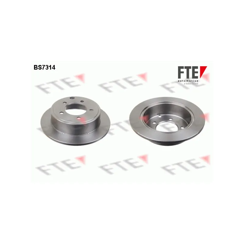 Jeu de 2 disques de frein arrière FTE BS7314