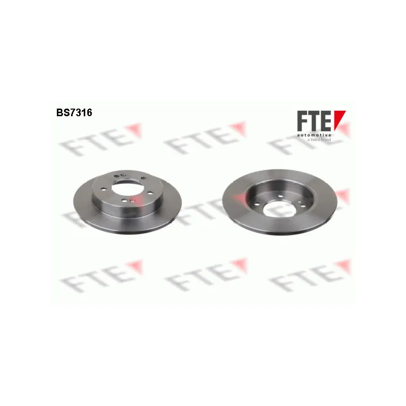 Jeu de 2 disques de frein arrière FTE BS7316