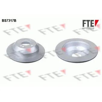 Jeu de 2 disques de frein arrière FTE BS7317B