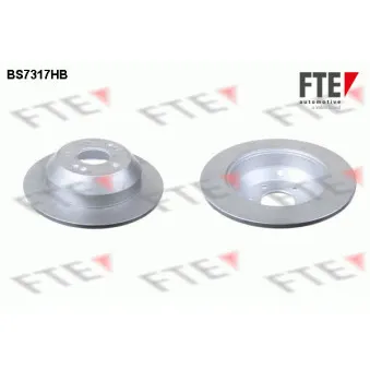 Jeu de 2 disques de frein arrière FTE BS7317HB