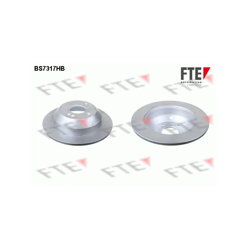 Jeu de 2 disques de frein arrière FTE BS7317HB