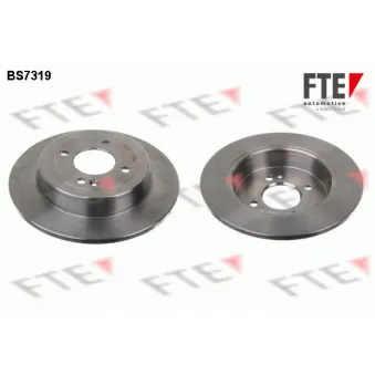Jeu de 2 disques de frein arrière FTE BS7319