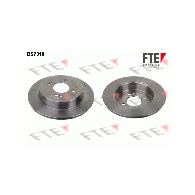 Jeu de 2 disques de frein arrière FTE BS7319