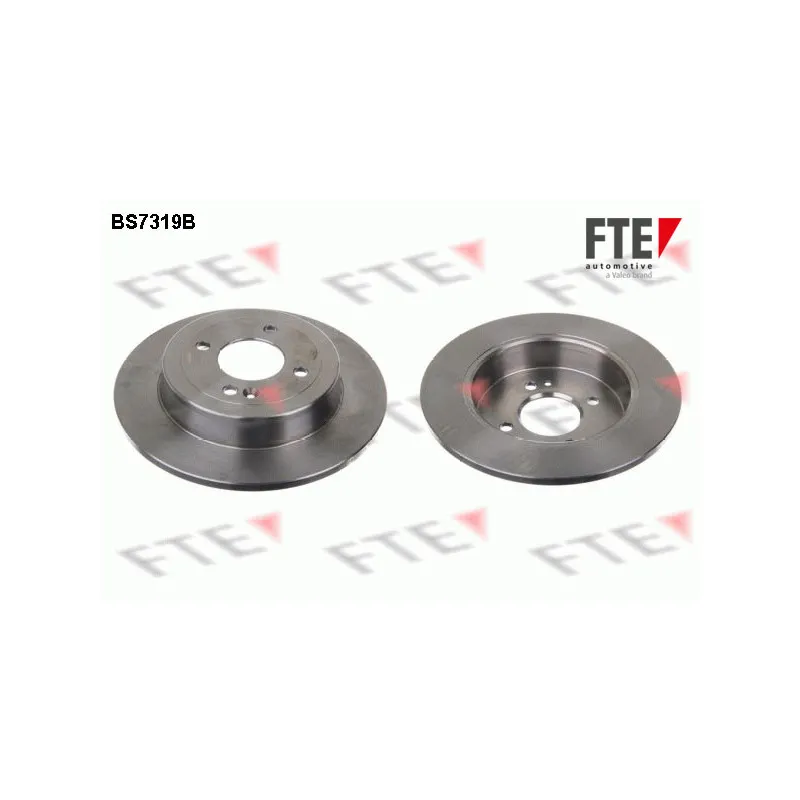 Jeu de 2 disques de frein arrière FTE BS7319B