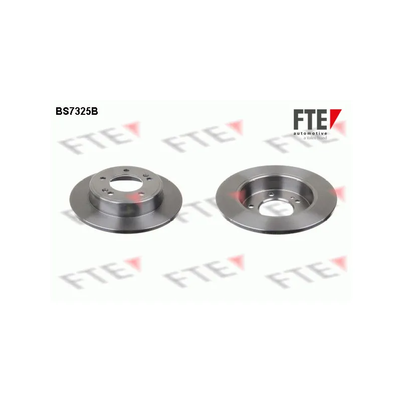 Jeu de 2 disques de frein arrière FTE BS7325B