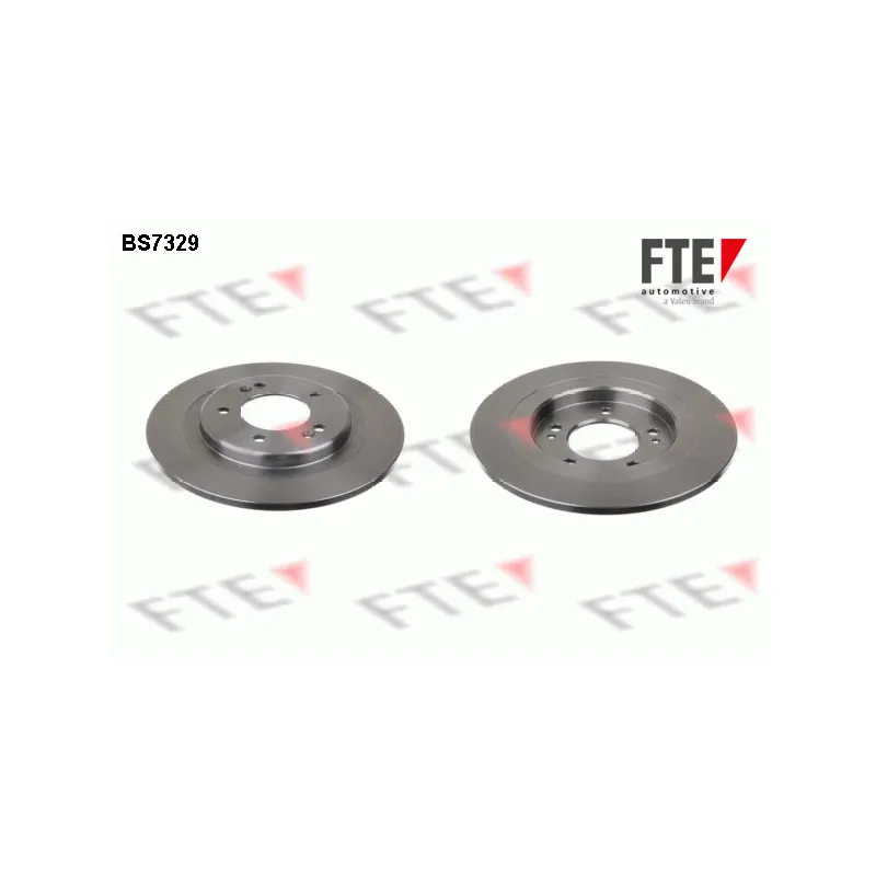 Jeu de 2 disques de frein arrière FTE BS7329