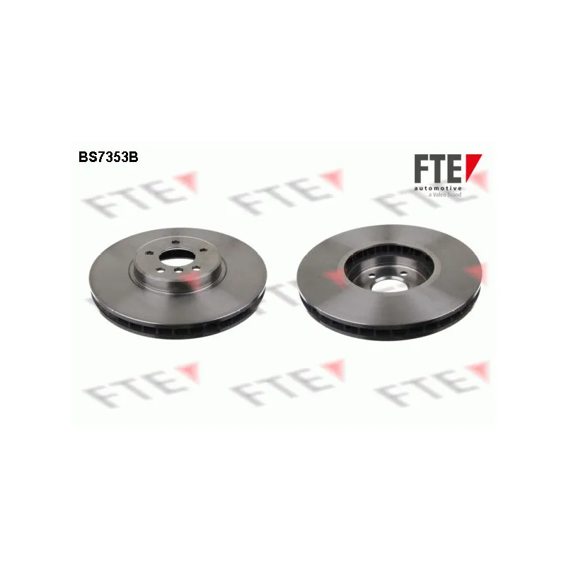 Jeu de 2 disques de frein avant FTE BS7353B