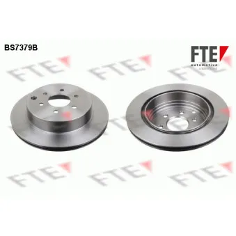 Jeu de 2 disques de frein arrière FTE BS7379B