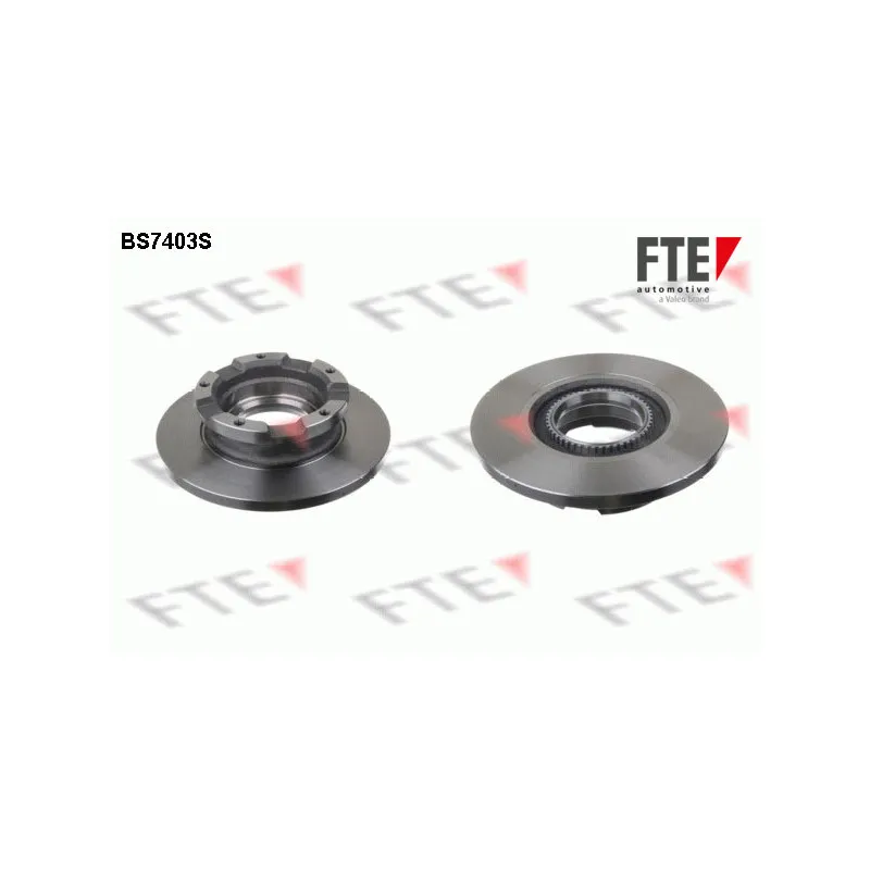 Jeu de 2 disques de frein arrière FTE BS7403S