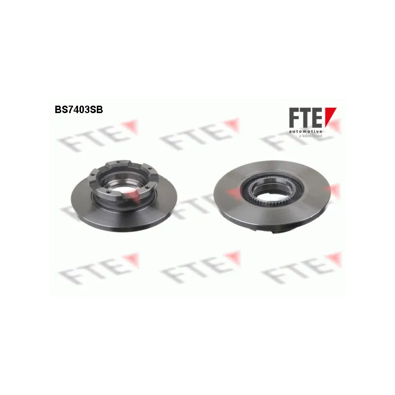 Jeu de 2 disques de frein arrière FTE BS7403SB