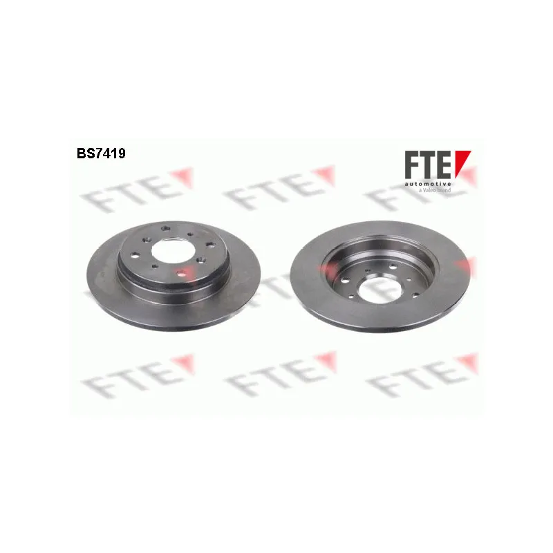 Jeu de 2 disques de frein arrière FTE BS7419