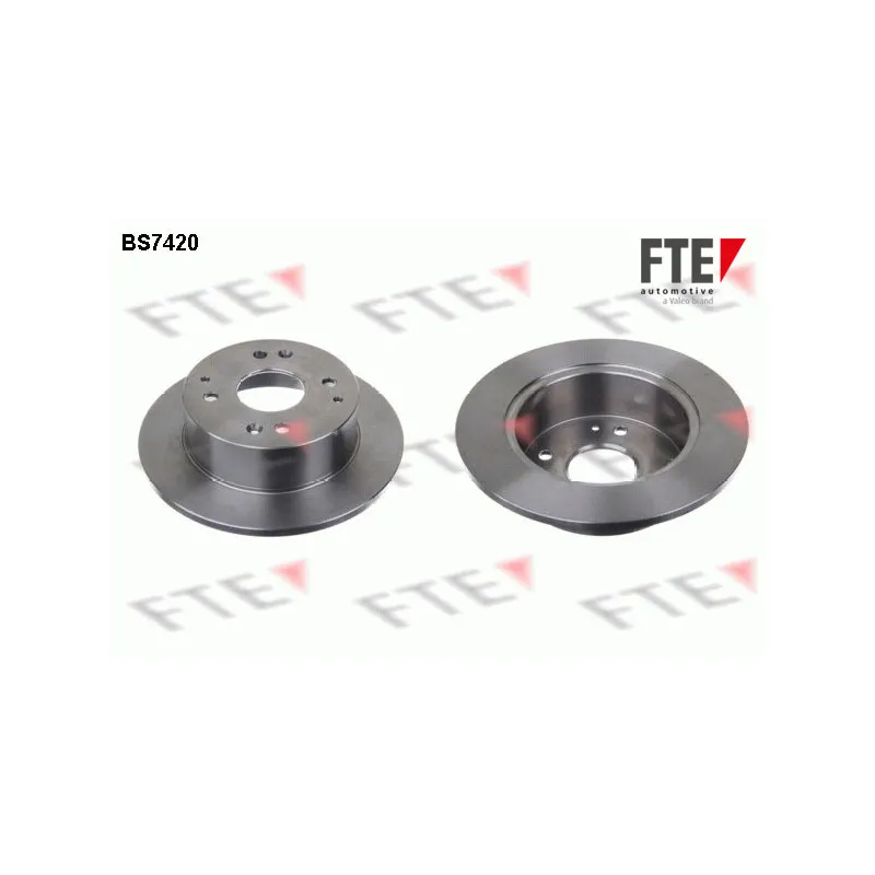 Jeu de 2 disques de frein arrière FTE BS7420