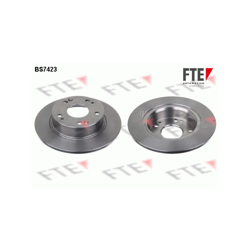 Jeu de 2 disques de frein arrière FTE BS7423