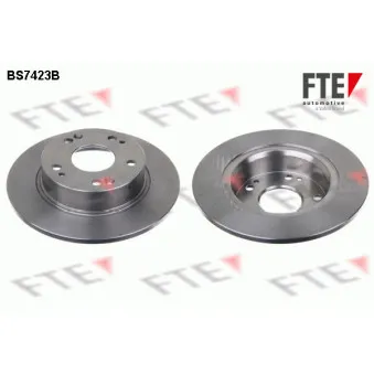 Jeu de 2 disques de frein arrière FTE BS7423B