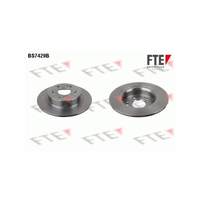Jeu de 2 disques de frein arrière FTE BS7429B