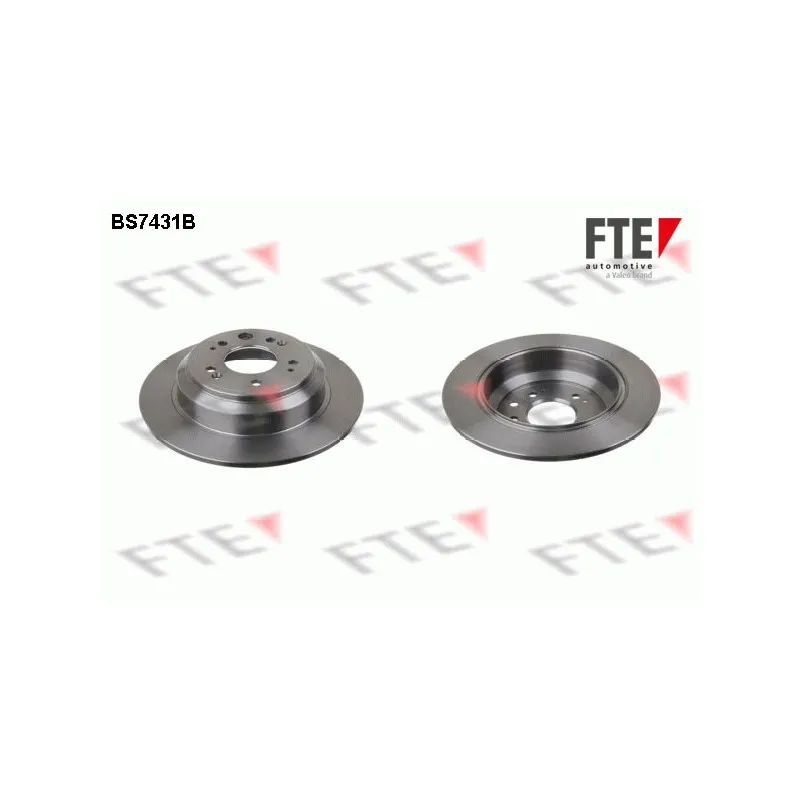 Jeu de 2 disques de frein arrière FTE BS7431B