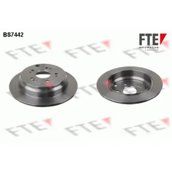 Jeu de 2 disques de frein arrière FTE BS7442