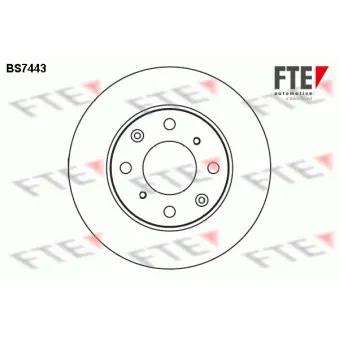Jeu de 2 disques de frein avant FTE BS7443
