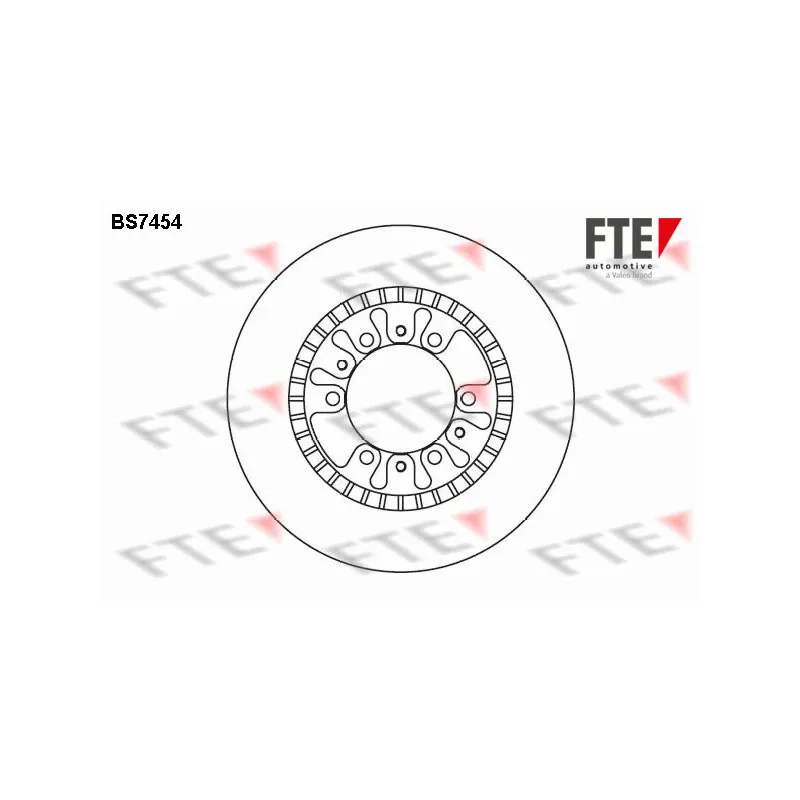 Jeu de 2 disques de frein avant FTE BS7454