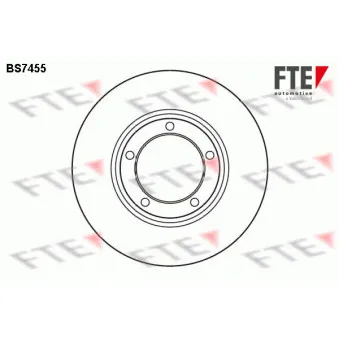 Jeu de 2 disques de frein avant FTE BS7455