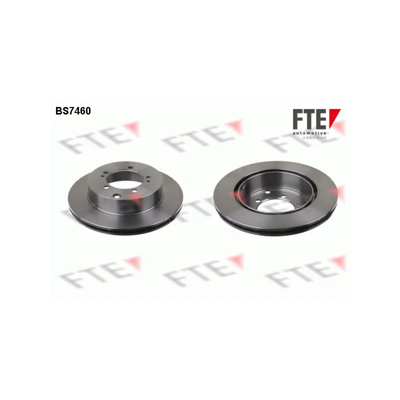 Jeu de 2 disques de frein arrière FTE BS7460