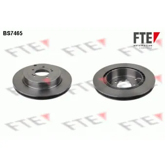 Jeu de 2 disques de frein arrière FTE BS7465