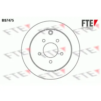 Jeu de 2 disques de frein arrière FTE BS7475